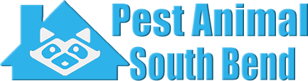 South Bend Wildlife and Animal Removal